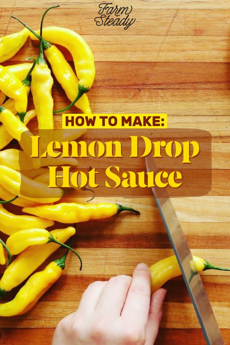 We turned to lemon drop peppers (ají limon) not only because of their beautiful, vibrant yellow, but also for their super unique flavors. They pop with bright, lemony citrus aromas and a zippy heat. And while they do pack a good hot punch, they don’t come close to the face-melting heat of a habanero. We added lemon peel to the fermenting jar to really punch up the natural robust, nuanced citrus flavors of the peppers  (just discard the peels before blending).