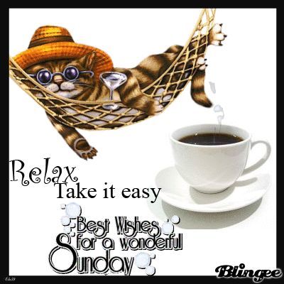 Take It Easy Sunday Gif sunday sunday gif sunday quotes and sayings sunday quotes of the day Sunday Morning Images, Sunday Gif, Special Friendship Quotes, Happy Sunday Images, Good Morning Sunday, Funny Cat Images, Sunday Greetings, Sunday Blessings, Sunday Images