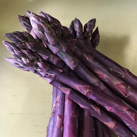 Purple Asparagus, Blue Foods, Beautiful Vegetables, Purple Vegetables, Organic Fungicide, Asparagus Plant, Fruit Picker, Unique Vegetables, Perennial Vegetables