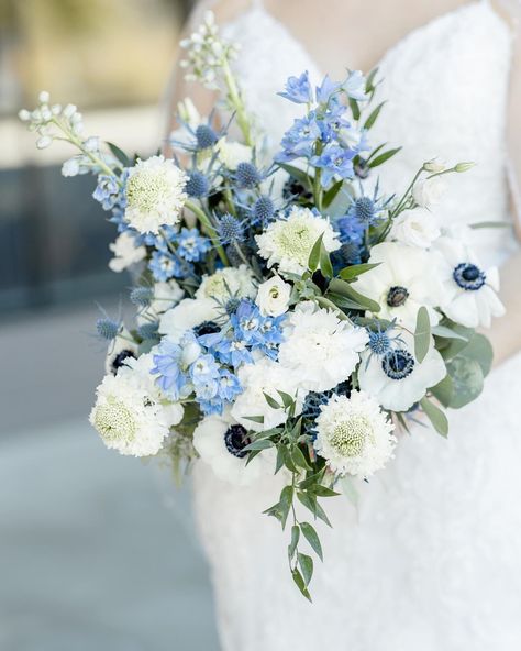 Blue Wedding Bouquet Ideas, Delphinium Wedding Bouquet, Delphinium Bridal Bouquet, Blue And White Bridal Bouquet, Chrysanthemum Wedding, Navy Blue Wedding Theme, Wildflower Bridal Bouquets, Small Bridal Bouquets, Wedding Bouquet Ideas