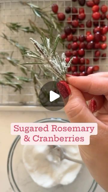 Jacqueline Vignona | Easy & Delicious Recipes | THE BEST HOLIDAY GARNISH 🎄  You guys loved my charcuterie tree & I had so many DMs asking how I made the sugared rosemary & cranberries so... | Instagram Sugared Rosemary, Charcuterie Tree, Sugared Cranberries, Appetizer Plate, Cocktail Garnish, Cup Of Water, Festive Look, Easy Delicious Recipes, Appetizer Plates