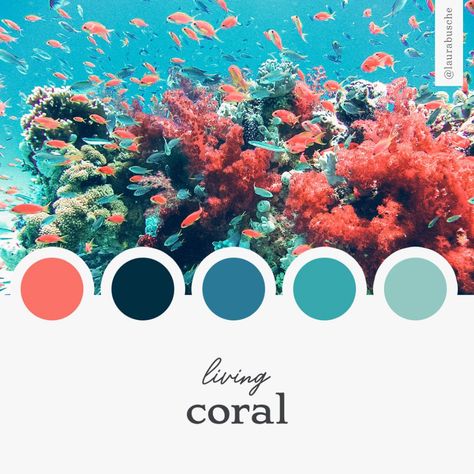 Brand Moodboard: Living Coral Room Design Color Schemes, Coral Reef Color, Coral Colour Palette, Brand Moodboard, Color Schemes Colour Palettes, Live Coral, Living Coral, Beach Color, Color Board