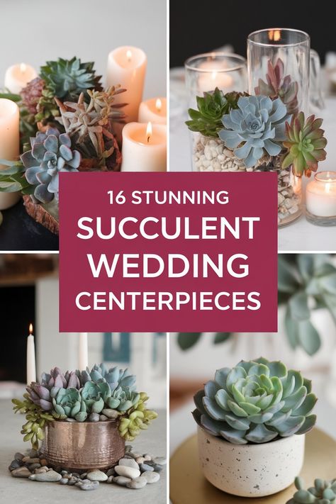 Elegant and Easy: 16 Succulent Wedding Centerpieces Potted Plants Wedding Decor, Succulent Centerpiece Ideas, Flowerless Wedding Centerpieces, Flowerless Wedding, Plant Wedding Decor, Wedding Succulents, Succulent Wedding Centerpieces, Succulent Centerpiece, Plant Wedding