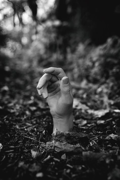 The thriller. Image by Stocksy Contributor Marcel ter Bekke #halloween #creepy #thing Halloween Creepy, The Soil, Halloween Horror, Coming Out, Soil, Halloween, Black