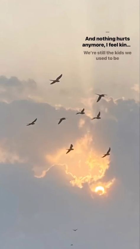 Birds aesthetic Birds Aesthetic, Sza Songs, Song Lines, Best Song Lines, Sunset Clouds, Best Songs, Birds, Sun, Songs