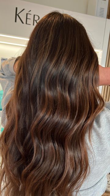 Chocolate Brown Full Highlights, Brown Hair High And Low Lights, Chocolate Blonde Highlights, Highlights Inspo For Brown Hair, Honey Highlights On Auburn Hair, Brunette With Mocha Highlights, Brown Hair Auburn Lowlights, Light Chocolate Brown Highlights, Darkish Brown Hair With Highlights