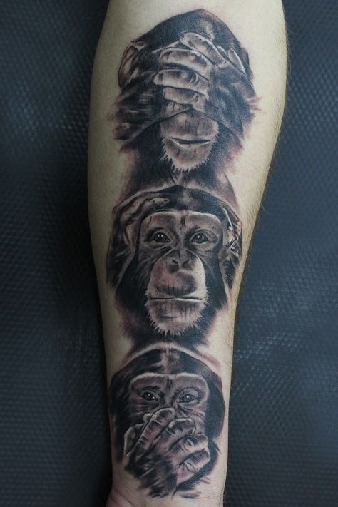 Leg Band Tattoos, New School Tattoos, Tato Maori, Monkey Tattoo, Doctor Tattoo, Strong Tattoos, Tattoo Catalog, Gorilla Tattoo, Lion Tattoo Sleeves