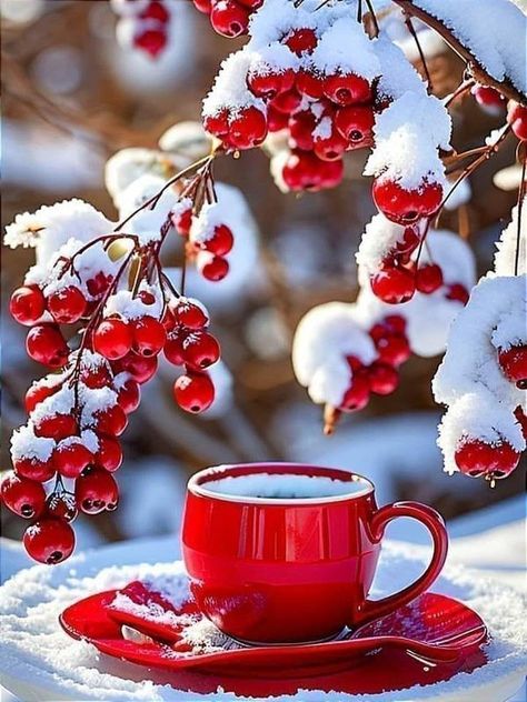 Coffee Flowers And Chocolates | Good morning! 💖🎭🌸 | Facebook Good Morning Winter Images, Good Morning Winter, Good Morning Coffee Images, Morning Coffee Images, Happy Weekend Quotes, Coffee Flower, Winter Coffee, Good Morning Picture, Morning Tea