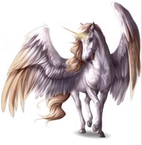 Pegasus Drawing, Unicorn With Wings, Fantasy Creatures Mythology, Winged Unicorn, Greek Monsters, Liver Chestnut, Pegasus Art, Fantasic Beasts, Unicorn Artwork