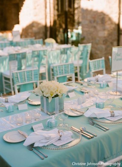 Tiffany & Co. bridal shower table idea.  See more bridal shower themes and party ideas at www.one-stop-party-ideas.com Tiffany Blue Wedding Decorations, Tiffany Blue Wedding Ideas, Tiffany Blue Party, Tiffany Birthday Party, Tiffany Blue Wedding Theme, Tiffany Birthday, Tiffany Blue Weddings, Tiffany Theme, Tiffany Bridal Shower