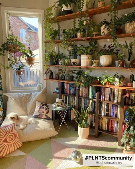 Plants filled shelves Lots Of Plants, Cozy Furniture, Deco Studio, Mid Century Modern Living Room, Room With Plants, Design Del Prodotto, Cozy Reading Nook, Dream Apartment, Dream House Decor