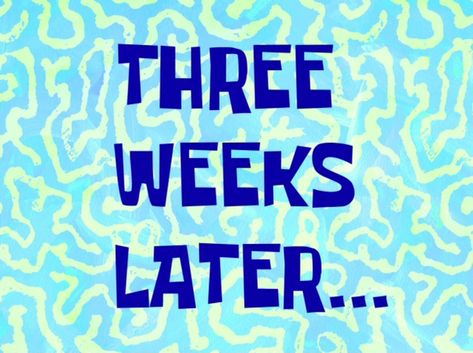 Three Weeks Later... | SpongeBob Time Cards | Know Your Meme Spongebob Time Cards, Youtube Editing, Tired Of Waiting, First Youtube Video Ideas, Bad Puns, Youtube Channel Art, Creature Feature, Blink 182, Text Pictures