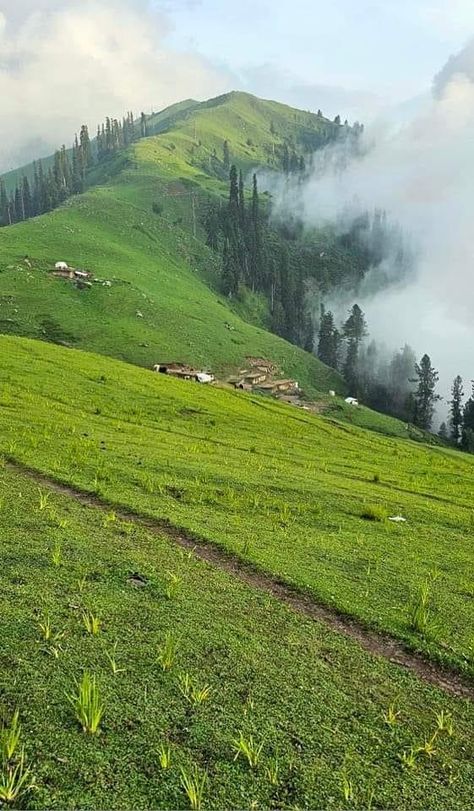 #northern #valley #pakistan #photography #photooftheday #phoot #aesthetic #beauty #photo #photoshoot #salah #aesthetic #islamicaesthetic Pakistan Scenery, Salah Aesthetic, Pakistan Aesthetic, Kaghan Valley, Pakistan Photography, Northern Pakistan, Stylish Photo, Stylish Photo Pose, Beautiful Places On Earth