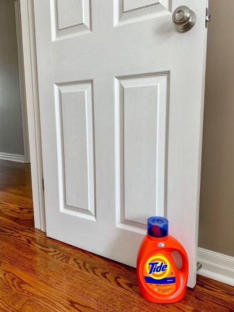 How to Clean Baseboards and Doors Easily | Hometalk Clean Baseboards, Baseboard Cleaner, White Baseboards, Painting Baseboards, Cleaning Baseboards, Powder Laundry Detergent, Inside Doors, Stained Doors, Best Cleaner