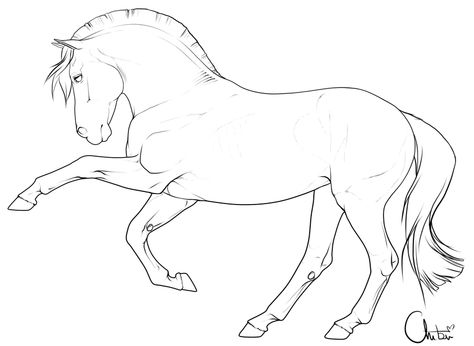 Free pony lineart by BH-Stables on @DeviantArt Horse Lineart, Horse Drawing Tutorial, Barn Drawing, Shading Tutorial, Horse Outline, Cow Photography, Horse Art Drawing, Fjord Horse, Horse Sketch