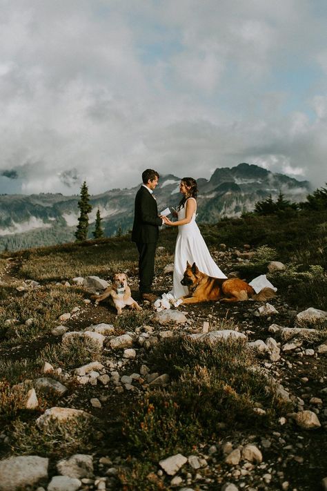 Gatlinburg Elopement Photography, Dog Elopement, Elopement With Dog, Wedding Photos With Dogs, Mountain Elopement Photos, Small Beach Weddings, Best Destination Wedding Locations, Photos With Dog, Destination Wedding Locations