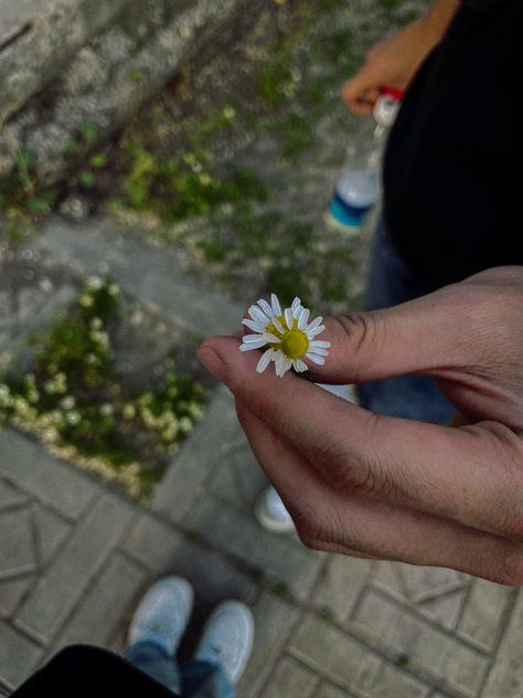 Bf With Flowers, Man With Flowers In Hand, Man With Flowers, Boy Snaps Pic, Rose In Hand, Ring For Boyfriend, Canada Pictures, Instagram Animation, Black Hd Wallpaper