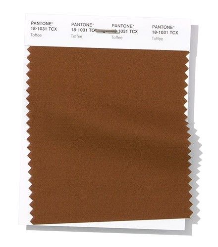 Pantone Brown, 2023 Color Trends, Toffee Color, 2023 Color, Color Trends Fashion, Ny Fashion, Fabric Swatch, Trend Report, Spring Fashion Trends