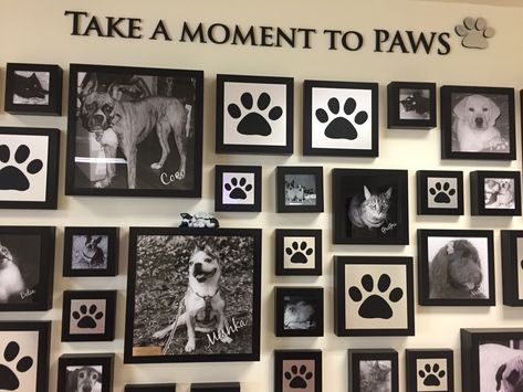 Pet Memorial Ideas Dogs, Dog Room Design, Dog Room Decor, Dog Bedroom, Puppy Room, Dog Wall Decor, Foster Dog, Animal Room, Dog Rooms