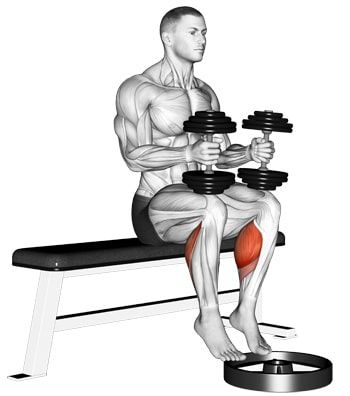 Dumbbell Seated Calf Raise Full Leg Workout, How To Get Faster, Chest Workout Routine, Leg Workouts Gym, Rauch Fotografie, Summer Body Workout Plan, Push Workout, Workout Pics, Calf Exercises