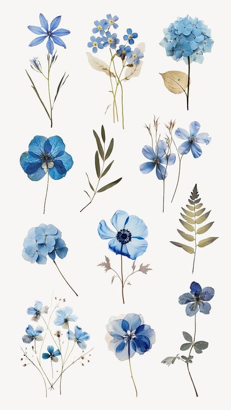 Pressed blue flowers isolated element set | premium image by rawpixel.com / Minty Pressed Flowers Printable, Blue Pressed Flowers, Blue Flowers Printable, Blue Plants Aesthetic, Blue Design For Scrapbook, Virat Wallpapers, Flower Stickers Printable, Floral Stickers Printable, Moodboard Elements