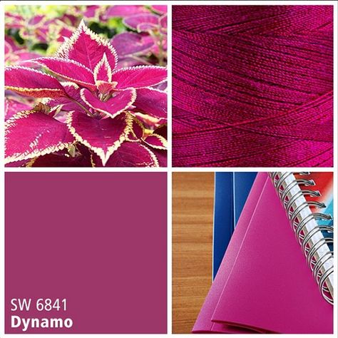 Sherwin-Williams pink paint color - Dynamo (SW 6841) Dynamo Sherwin Williams, Lotus Decor, Ceiling Color, Red Paint Colors, Pink Paint Colors, Room 2023, Paint Palettes, Decor Color Schemes, Color Plan