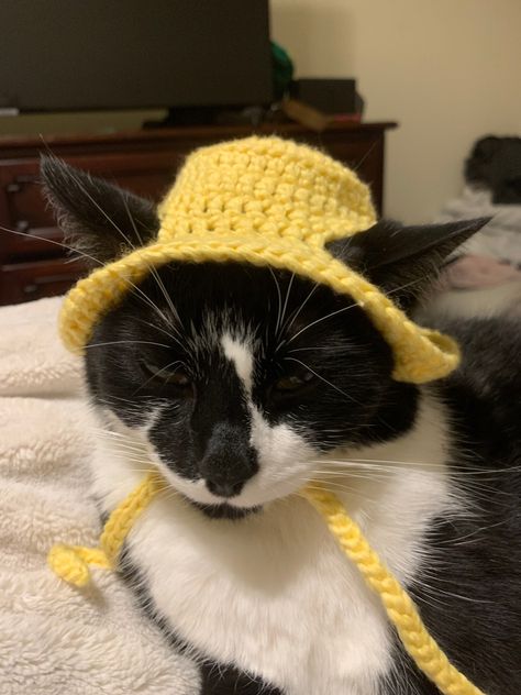 Free Crochet Pattern: Bucket Hat for Cats and Small Dogs Crochet Pattern Hat For Cat, Dog Bucket Hat Crochet, Crochet Cat Hat Free Pattern, Dog Hat Pattern Free, Crochet Clothes For Cats, Dog Hat Crochet Pattern Free, Crochet Hat For Cat Pattern Free, Cat Hat Crochet Pattern Free, Crochet Dog Hats