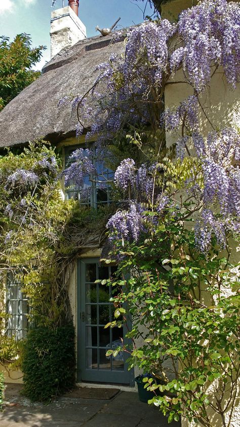 Cottage House In Forest, Cottage Village Aesthetic, Cottage Core Village, Cottage In The Woods Aesthetic, Old Cottage In The Woods, Cottage Background, Wisteria Aesthetic, Cottage In A Forest, Cottagecore House Real Life