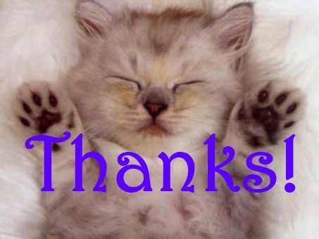 Thank you! You made up day! Thank You Cat Meme, Response Memes, Epic Battle, Kittens And Puppies, Our Friendship, Cat Quotes, Kittens Cutest, Cat Memes, Friends In Love