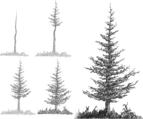 How To Draw A Tree (Step By Step Image Guides) Trees Sketching, Trees Drawing Tutorial, Draw A Tree, Pine Tree Drawing, Tree Drawings Pencil, Desen Realist, Pencil Drawing Tutorials, Mountain Drawing, Drawing Hair