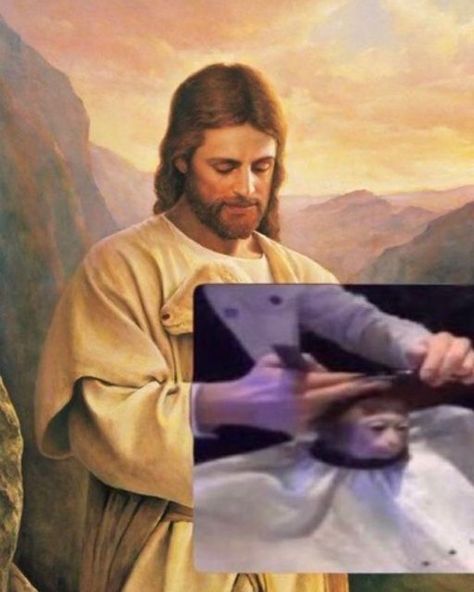 Monkey Stickers, Jesus Memes, Pinterest Memes, Funny Profile, Anime Meme, Funny Profile Pictures, Fb Memes, Internet Funny, Funny Laugh