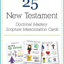 You searched for new testament - Capturing Joy with Kristen Duke Doctrinal Mastery New Testament 2023 Games, Lds Seminary New Testament 2023, Doctrinal Mastery Games, Scripture Mastery Games, Seminary Games, Scripture Mastery, Doctrinal Mastery, Book Of Mormon Scriptures, Family Scripture Study