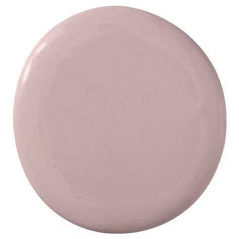 Sherwin-Williams ​Doeskin SW 6044​ Taupe Sherwin Williams, Eggshell Paint Color, Colors To Brighten A Room, Popular Neutral Paint Colors, Warm Neutral Paint Colors, Breakfast Room Green, Portola Paint, Best Neutral Paint Colors, Mauve Taupe