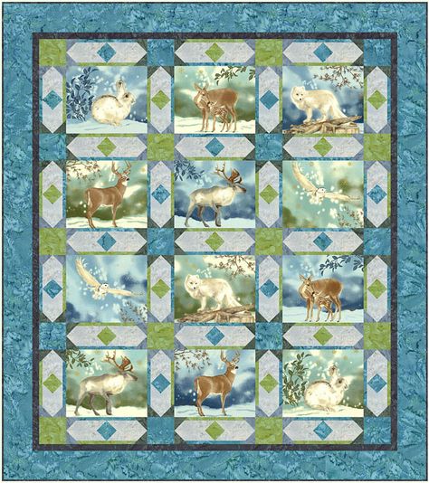 Wildlife Quilts, Panel Quilt Patterns, Panel Ideas, Quilt Borders, Fabric Panel Quilts, Aol Mail, Bird Quilt, Scrap Quilt Patterns, Quilt Border