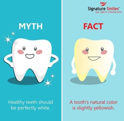 Childrens Dental Health, Dental Quotes, Dental Advertising, Dental Social Media, Dental Posts, Dental Posters, Kesehatan Gigi, Dental Fun, Fun Fact Friday