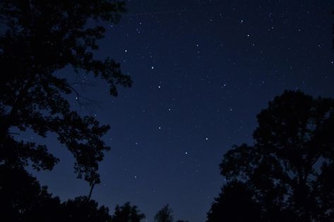 Night Asethic, Elijah Mikaelson, Giant Animals, Astronomy Art, Night Sky Wallpaper, Sky Full Of Stars, Look At The Sky, Weird Dreams, Stars At Night