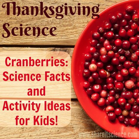 Thanksgiving Food Activities, Thanksgiving Cranberries, Crazy School Day, Thanksgiving Unit Study, Thanksgiving Stem Activities, Thanksgiving Cranberry, Thanksgiving Stem, Cranberry Thanksgiving, Traditional Thanksgiving Dinner