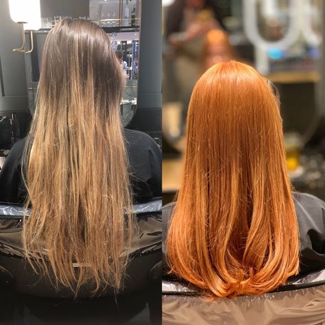 Clothes For Copper Hair, Before And After Copper Hair, Copper Hair Maintenance, Blond To Copper Hair, Brown To Copper Hair Before And After, Blond To Red Hair Before And After, Hair Color Before And After, Brunette To Ginger Before And After, Brunette To Red Hair Before And After