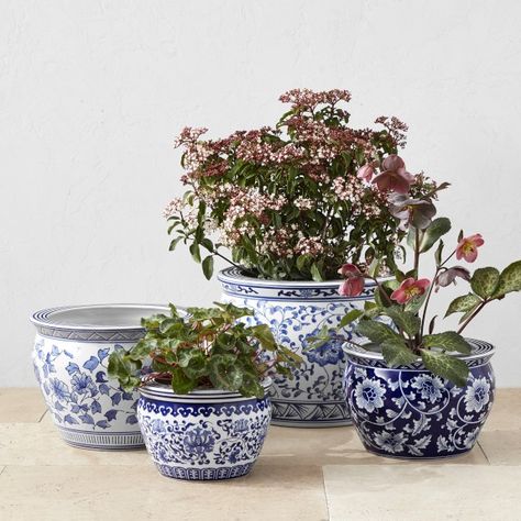 Blue Planters & Plant Pots | Williams Sonoma Extra Large Planters, Large Ceramic Planters, Blue White Ceramic, White Ceramic Planter, Garden Planters Pots, Outdoor Garden Planters, Blue Planter, Porcelain Planter, Blue Plants