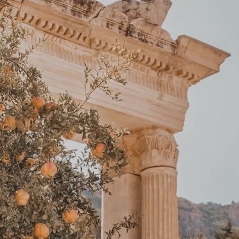 Ancient Greece Aesthetic, Apollo Aesthetic, The Song Of Achilles, Song Of Achilles, Achilles And Patroclus, Call Me By Your Name, Owl City, Orange Tree, Hozier