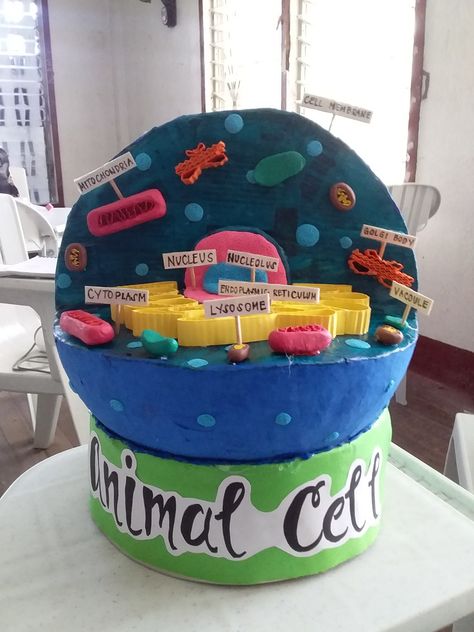 It is made out of styro foam ball,paint and clay. 3d Animal Cell Project, 3d Animal Cell, Cell Model Project, Animal Cell Project, Plant And Animal Cells, Cells Project, Biology Projects, Cell Model, Animal Cell