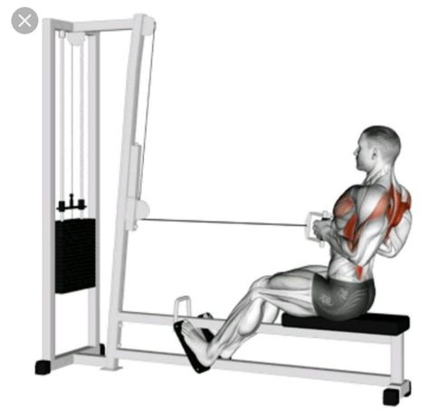 Standards For Men, Seated Cable Row, Upper Body Workout Gym, Back Workout Men, Dumbbell Shoulder Press, Cable Workout, Cable Row, Workout Splits, Gym Machines