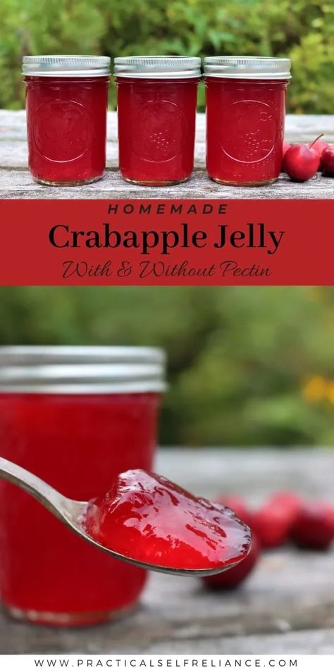 2 Ingredient Crabapple Jelly Recipe Without Pectin - Learn how to make crabapple jelly with this simple no pectin jelly recipe! easy crabapple jelly recipe | easy crabapple recipes | 2 ingredient apple jelly | crabapple canning recipes Crabapple Recipes, Crabapple Jelly Recipe, Crabapple Jelly, Canning Plums, Crab Apple Recipes, Garden Meals, Crab Apple Jelly, Blueberry Cobbler Recipes, Crab Apples