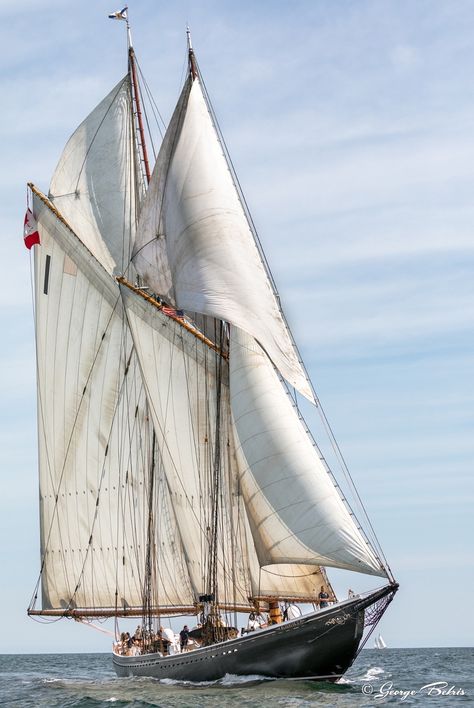 Old Sail Boats, Bateau Aesthetic, Old Sailboat, Bluenose Schooner, Jeanneau Sailboats, Beneteau Sailboat, J Class Yacht, Freetime Activities, Nautical Aesthetic