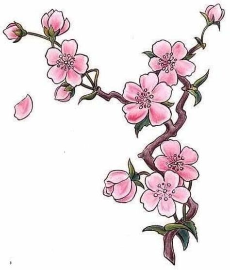 Japanese Cherry Blossom Tattoos, Cherry Blossom Tattoos, Blossom Drawing, Cherry Blossom Drawing, Flor Tattoo, Tattoos Temporary, Wood Art Diy, Cherry Blossom Flower, Be A Blessing