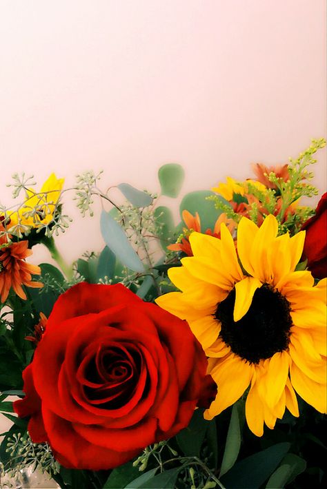 Sunflower And Rose Aesthetic, Sunflower And Roses Wallpaper Iphone, Sunflowers And Roses Aesthetic, Sunflowers And Roses Wallpaper, Red Roses And Sunflowers, Roses And Sunflowers, Floral Design Wallpaper, Sunflowers And Roses, Sunflower Photography