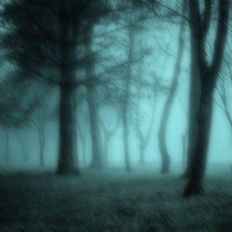 Dark Fairy Core, Dark Forest Aesthetic, Dark Fairycore, Grunge Pictures, Dark Green Aesthetic, Dark Nature Aesthetic, Dark Fairy, Pretty Landscapes, Aesthetic Images