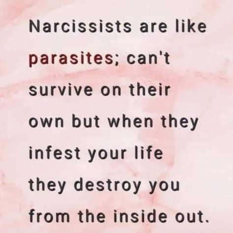 Narc Quotes, Narcissistic Supply, Narcissism Quotes, Toxic Waste, Narcissism Relationships, Narcissistic Personality, Narcissistic People, Mom Life Quotes, Healing Words