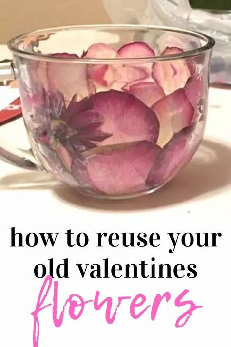 We love Valentines day bouquets but we dont like the smell of dead flowers. Check out how you can recycle your favorite flowers with these easy home decor ideas. Old Valentines, Easy Home Decor Ideas, Dead Flowers, Love Valentines Day, Valentines Flowers, Favorite Flowers, Easy Home Decor, Dream Rooms, Flowers Diy