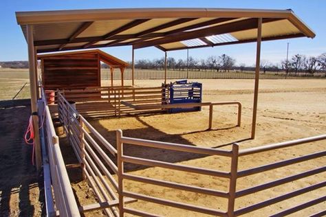 Roping Arena Roping Arena Layout, Roping Arena Ideas, Roping Arena, Horse Barn Ideas, Rodeo Arena, Livestock Shelter, Barn Layout, Barn Hacks, Riding Arena